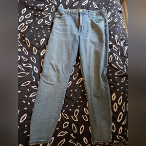 Everlane curvy authentic stretch high rise skinny jeans